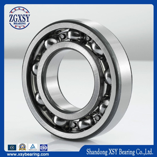 China Manufacturer Deep Groove Ball Bearing6317rs