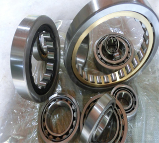 1000 Series Cylindrical Roller Bearings