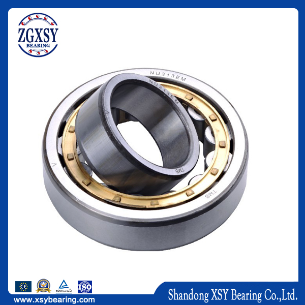 Polyamide Made Cage Nu206e. Tvp2 India Single-Row Cylindrical Roller Bearing Nu206