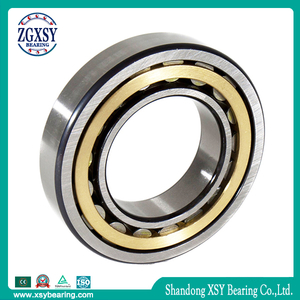 Nu2204etvp2/C3 Cylindrical Roller Bearing P5 Quality