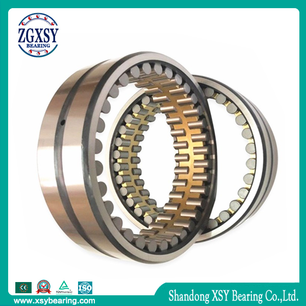 Zgxsy Thrust Cylindrical Roller Bearing Nu219e