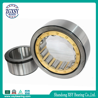 Zgxsy Cylindrical Roller Bearing Nu2204e