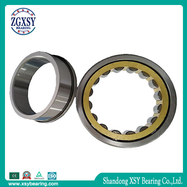 Zgxsy Cylindrical Roller Bearing NF217m Printing Machine Bearing