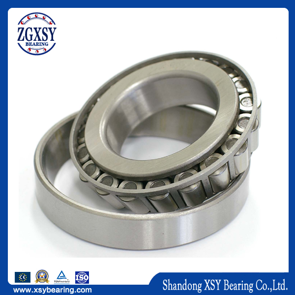 Chinese Manufacturer Cylindrical Roller Bearing NF211m