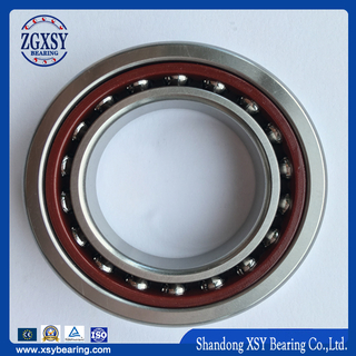 Hot Sale! High Precision Angular Contact Ball Bearing 7300AC Series