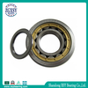 Brass Caged Cylindrical Roller Bearing Nj209e Bearing Nj209 with Brass Or Steel Retainer