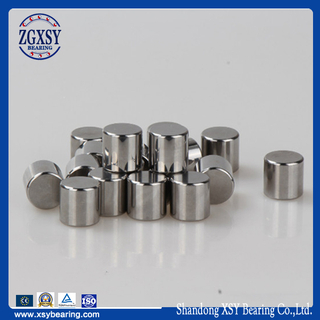 Any Size Any Quantity Supply Bearing Rollers Large Stock for Cylindrical Needle Thrust Roller Bearing