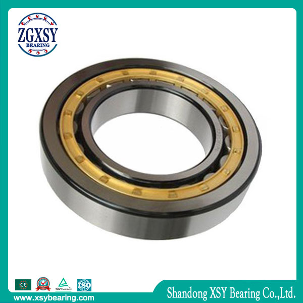 Factory Supply OEM Customize Cylindrical Roller Bearing Nu2218e
