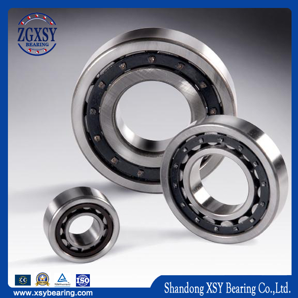 Original Qualityjapan Bearing Nu 204 NSK Cylindrical Roller Bearing Nj204 Nup204