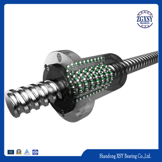 High Accuracy Screw Drive FSC Series Ball Screw PMI Ballscrew for Servo-driven